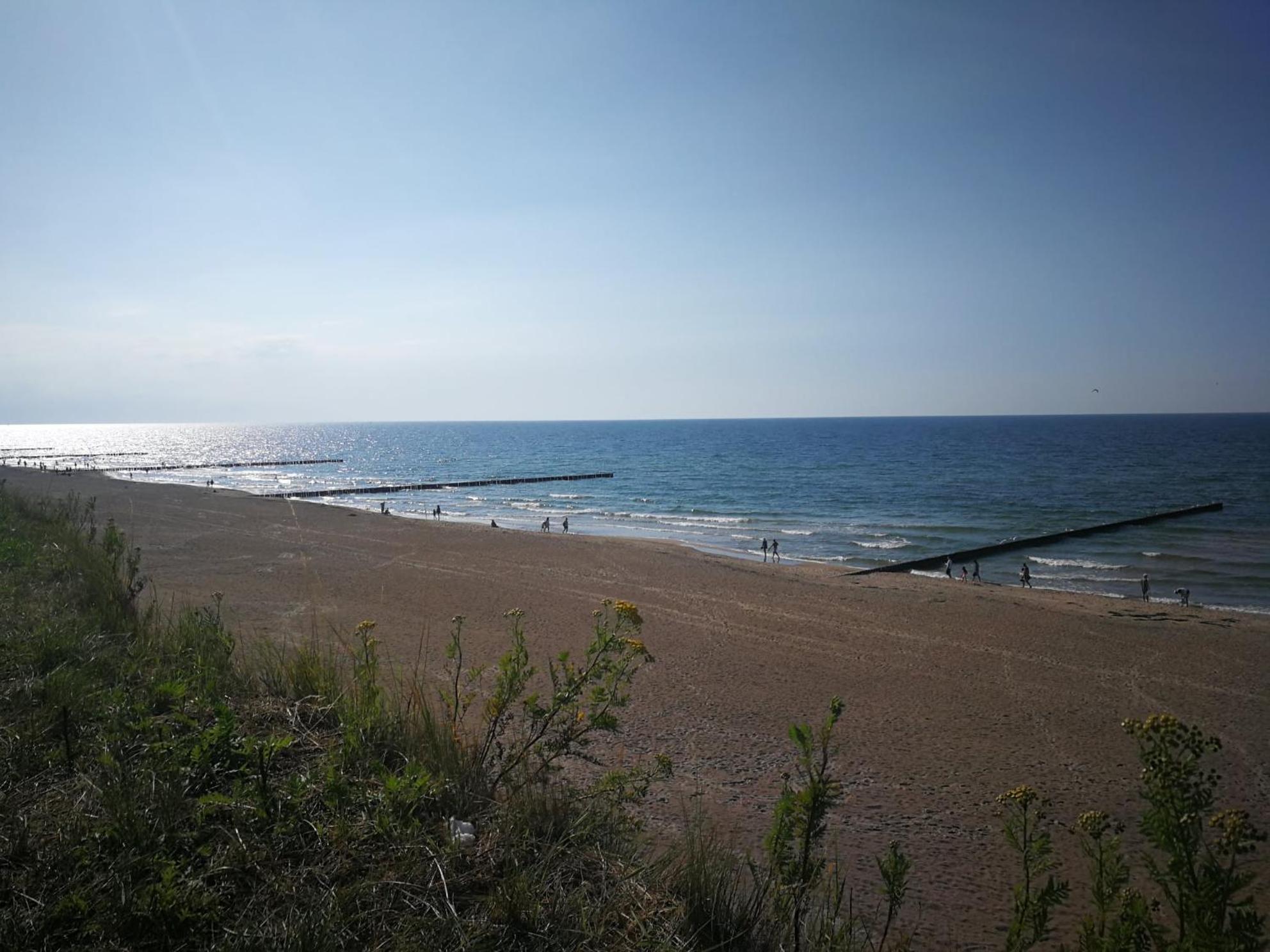Apartament Flo Art